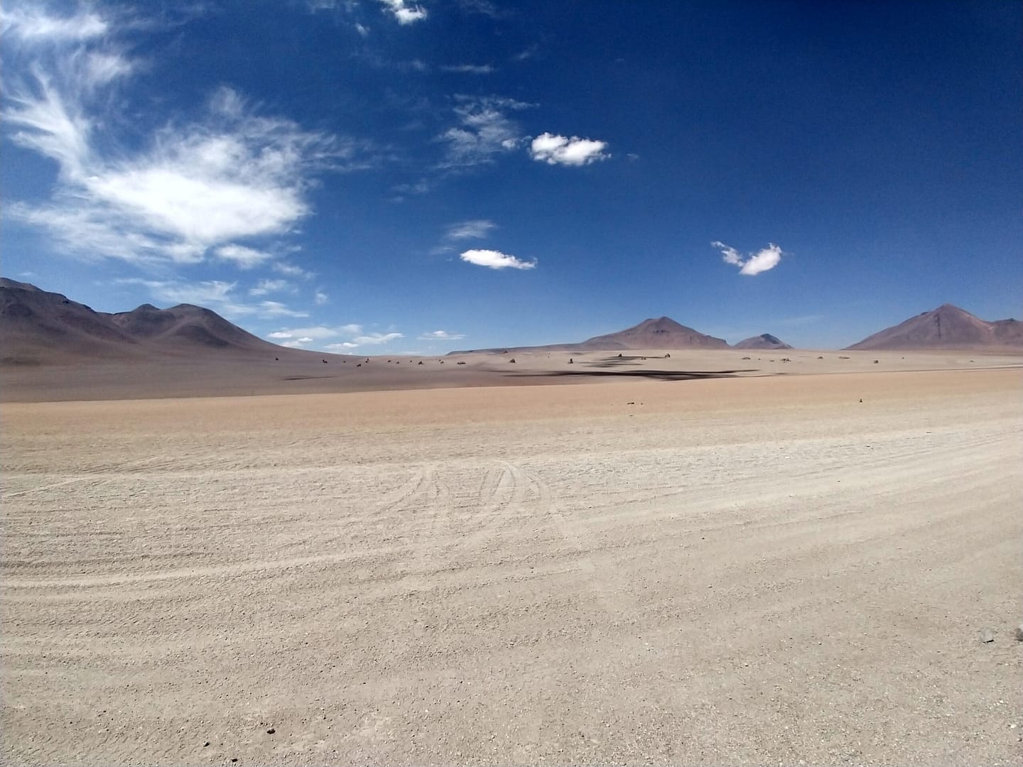 IMG_20190923_122900621_HDR (1) (1)