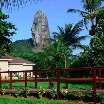 germana-galeria-01-350x350