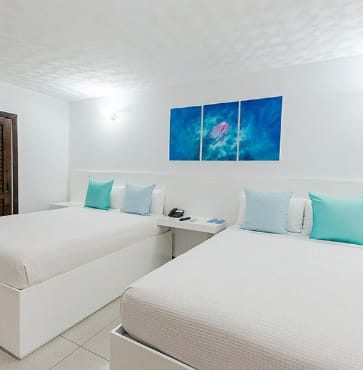 APARTAMENTO 1