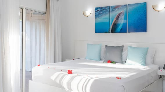 APARTAMENTO 5